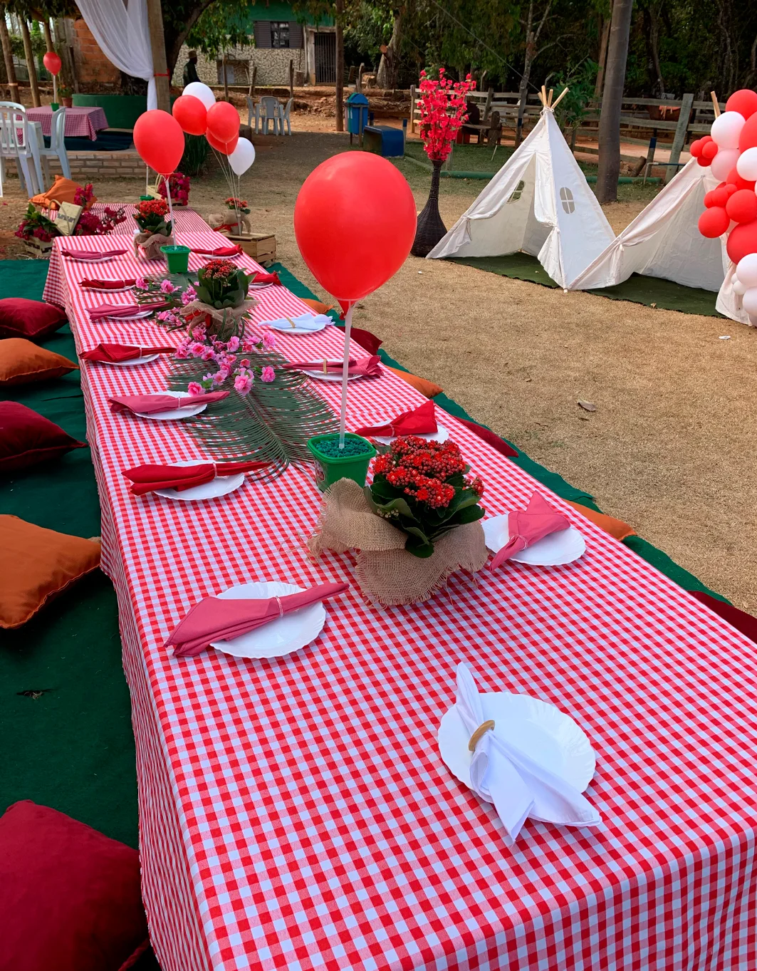 Espaço de aniversário no Adventure Eco Park