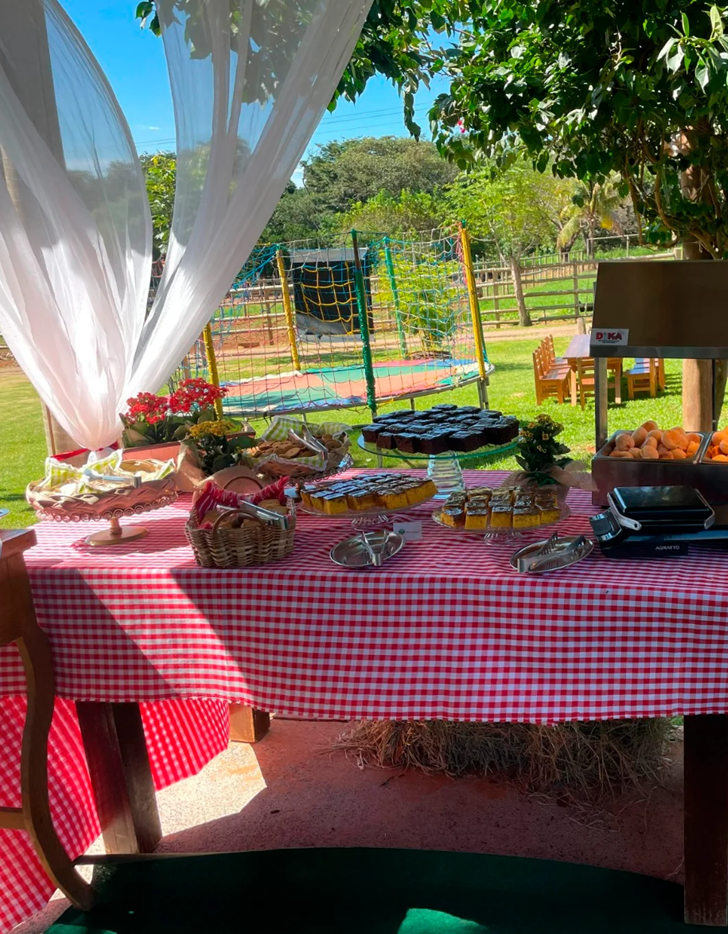 Aniversário no Adventure Eco Park