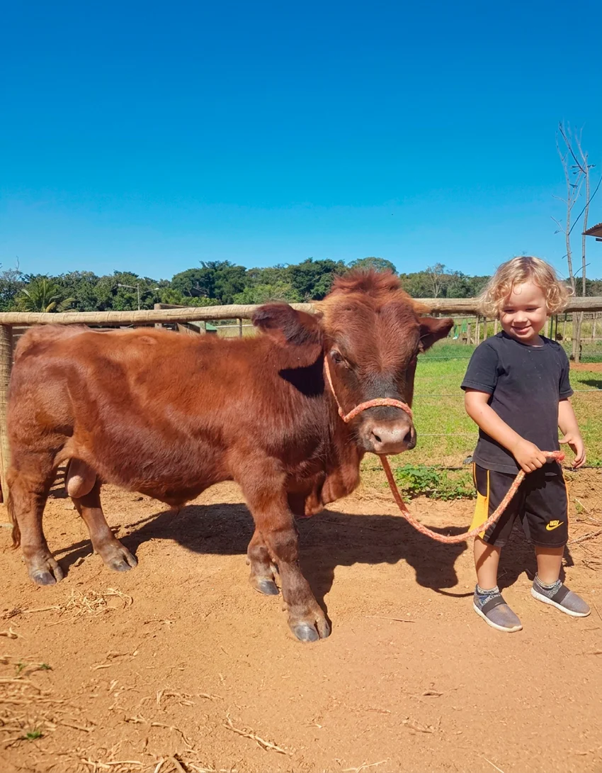 Fazendinha do Adventure Eco Park