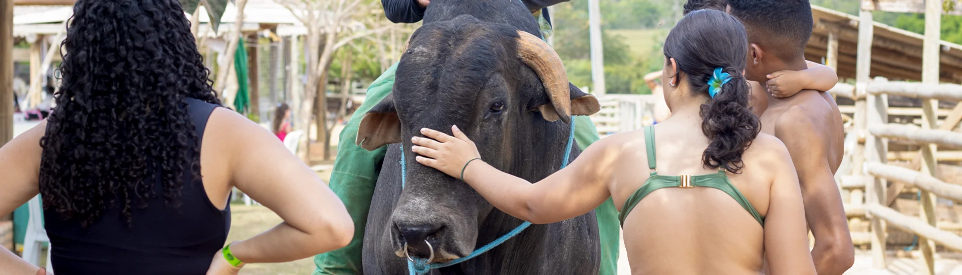 Ferdinando no Adventure Eco Park